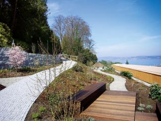 Newly planted roof garden